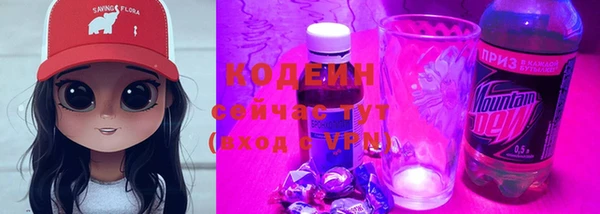 ПСИЛОЦИБИНОВЫЕ ГРИБЫ Каменка