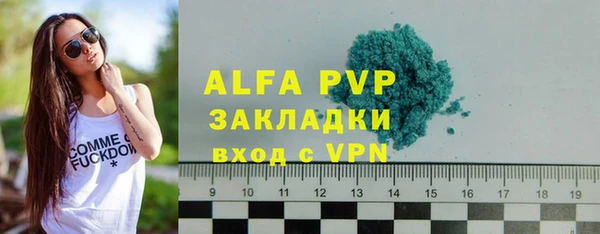ПСИЛОЦИБИНОВЫЕ ГРИБЫ Каменка