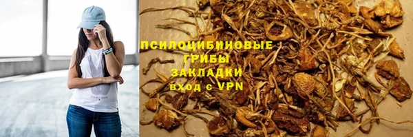 амф Инта