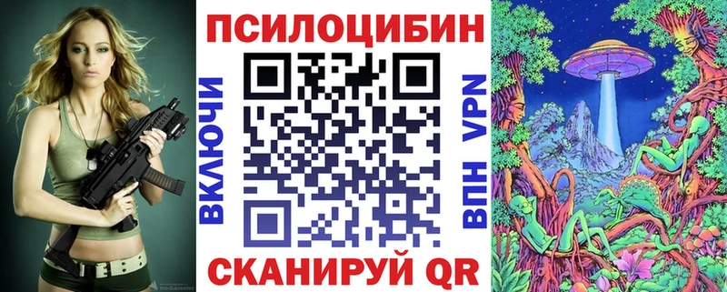 Купить  Железногорск-Илимский  Галлюциногенные грибы Psilocybine cubensis 